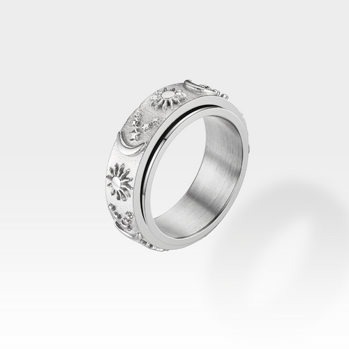 Day & Night Rotator Anxi Ring in Silver