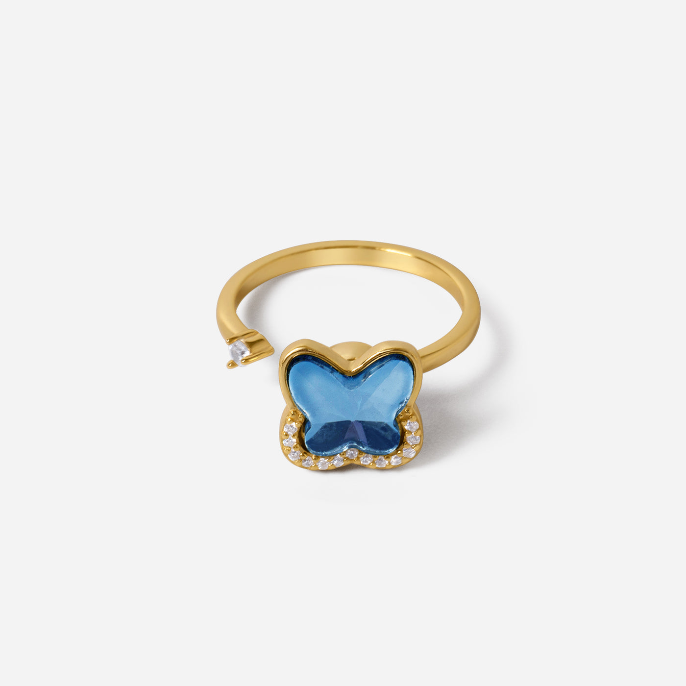 Wander Spinner Anxi Ring — FINAL SALE