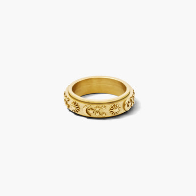 Day & Night Rotator Anxi Ring